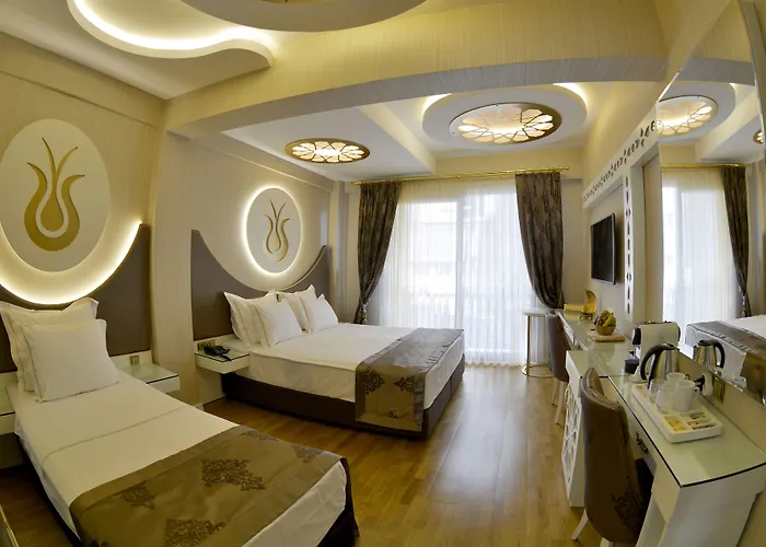 Arden Hotel-special Category