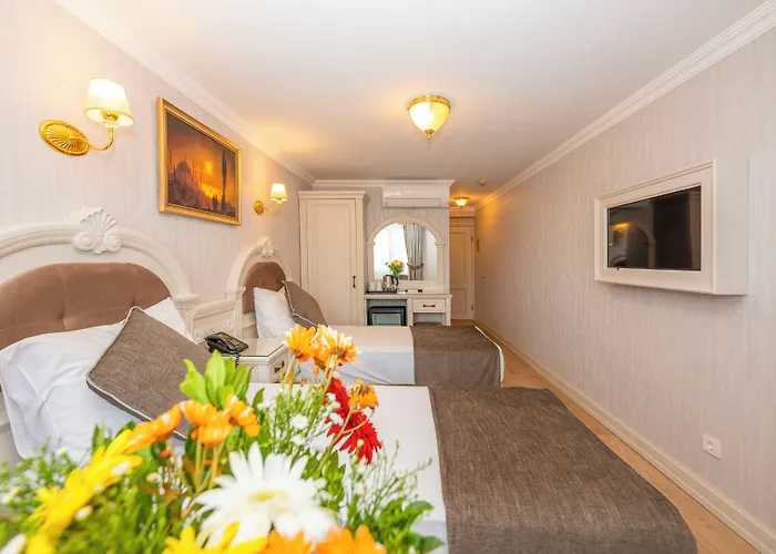 酒店 阿登城市酒店（特殊类别） 伊斯坦布尔